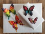 Dekorácia na tortu- motýle farebné 3D/20 – Obrázok 2