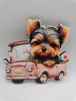 Magnetka – psík Yorkshire  01