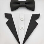 Zápich - Frak + motýlik