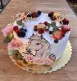 Koník 03 – Obrázok 6