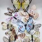 Dekorácia na tortu - motýle farebné 3D/29