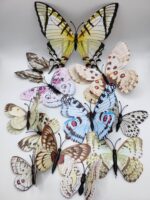 Dekorácia na tortu - motýle farebné 3D/29