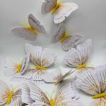 Dekorácia - motýle žlto-biele 3D/37