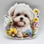 Magnetka/psík - Maltezák 02