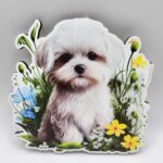 Magnetka/psík - Maltezák 01