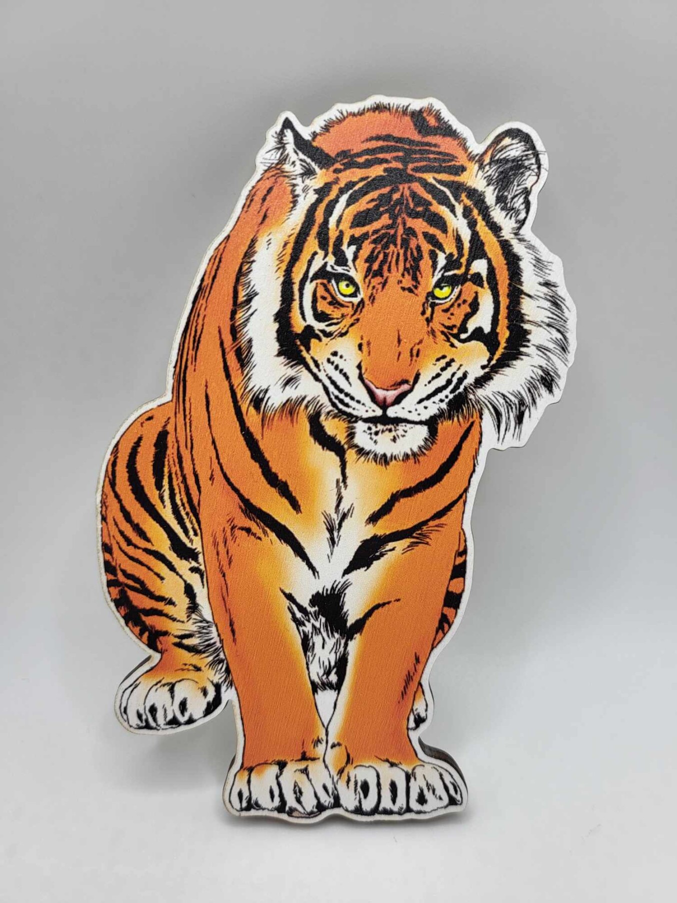 6ea89003-1642-4d4d-9ec6-c81b0b35d14a-scaled-1.jpg Tiger 02 – Obrázok 1