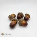 Dekorácia na tortu - Žaluď / Orech