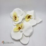 Dekorácia na tortu -Kvety - orchidea biela 09 – Obrázok 3