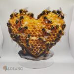 pl. dekorácia – Včela + medový plát 03 /srdce/