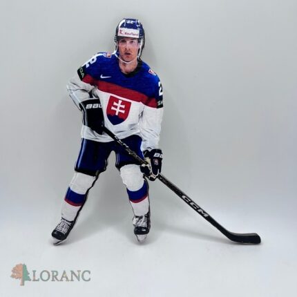 Zápich na tortu/magnetka hokejista 04